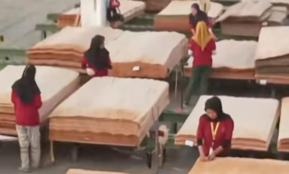 Di Balik Besarnya Industri Kayu PT SGM Group: Dugaan Nihil Fasilitas Kesehatan Untuk 3.000 Pekerja
